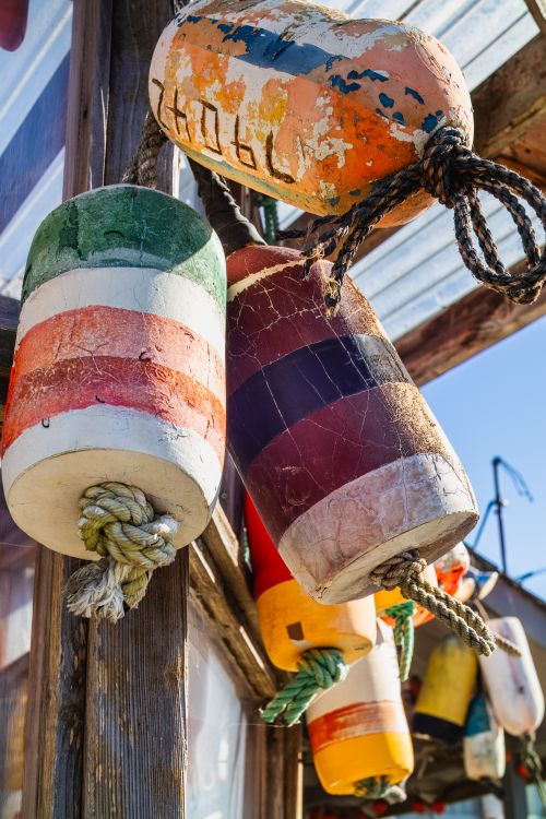 Free A vibrant display of weathered lobster buoys hanging outside in the sunlight. Stock Photo