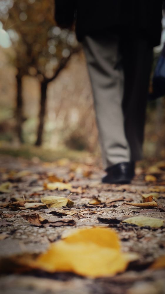 Walk Background Photos, Download The BEST Free Walk Background Stock ...