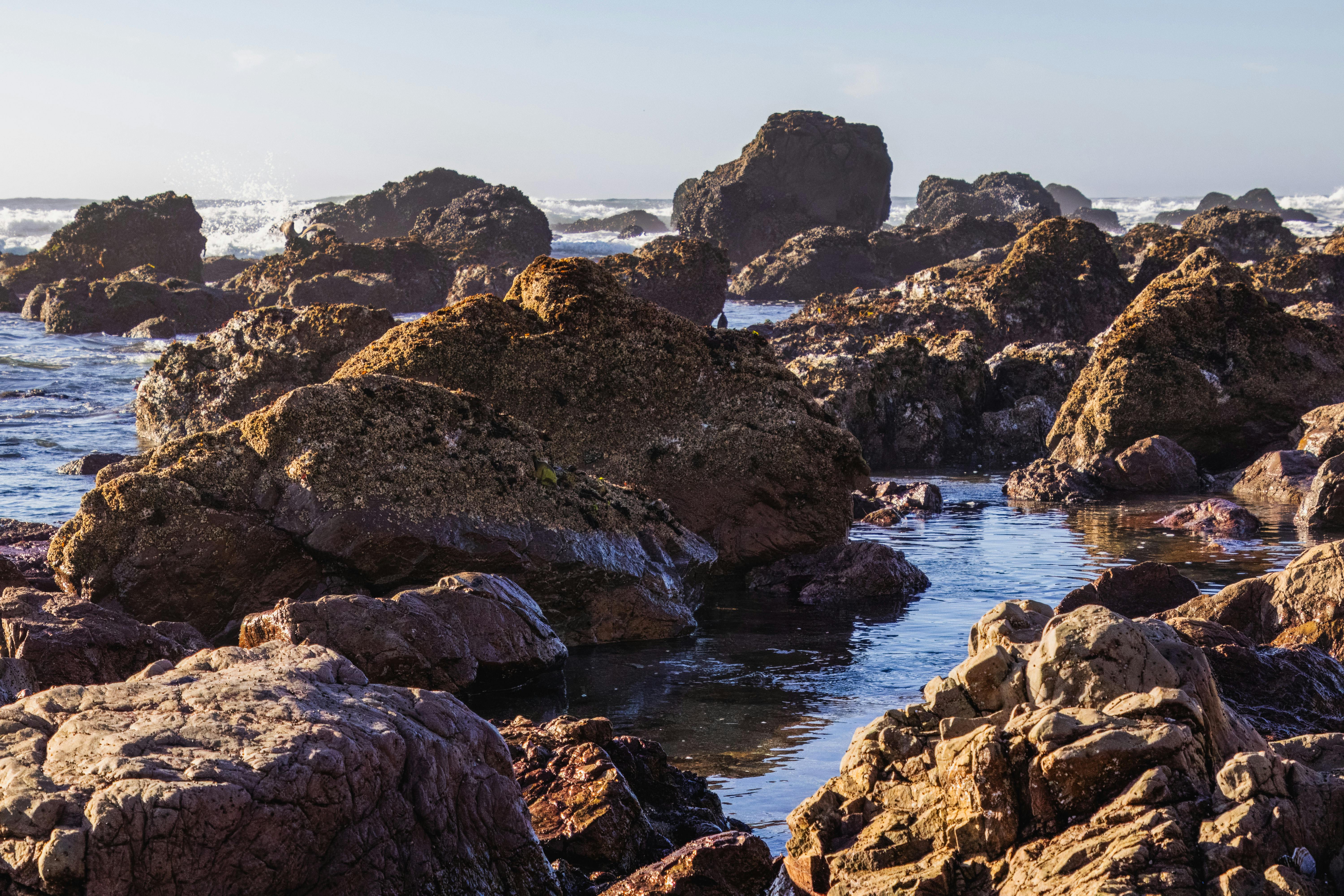 Shallow tide pools in rocky shoreline at low tide
