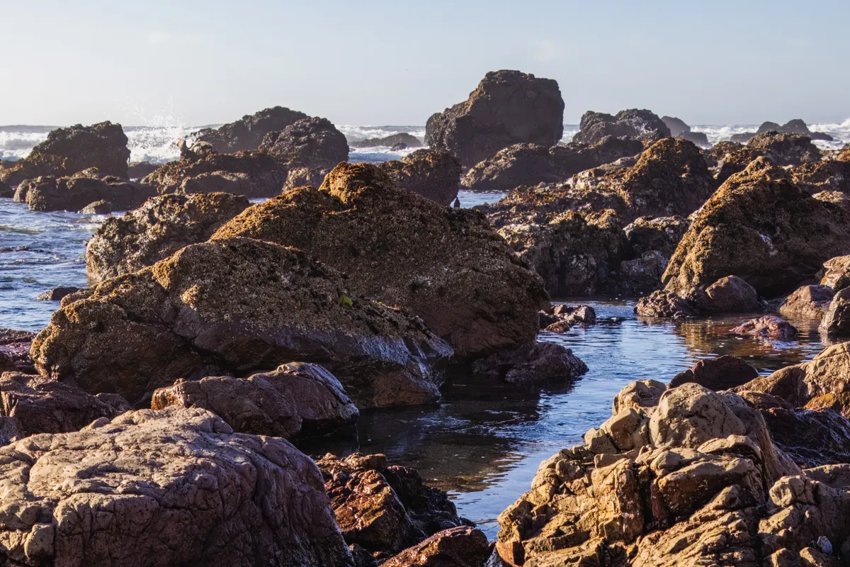 Shallow tide pools in rocky shoreline at low tide