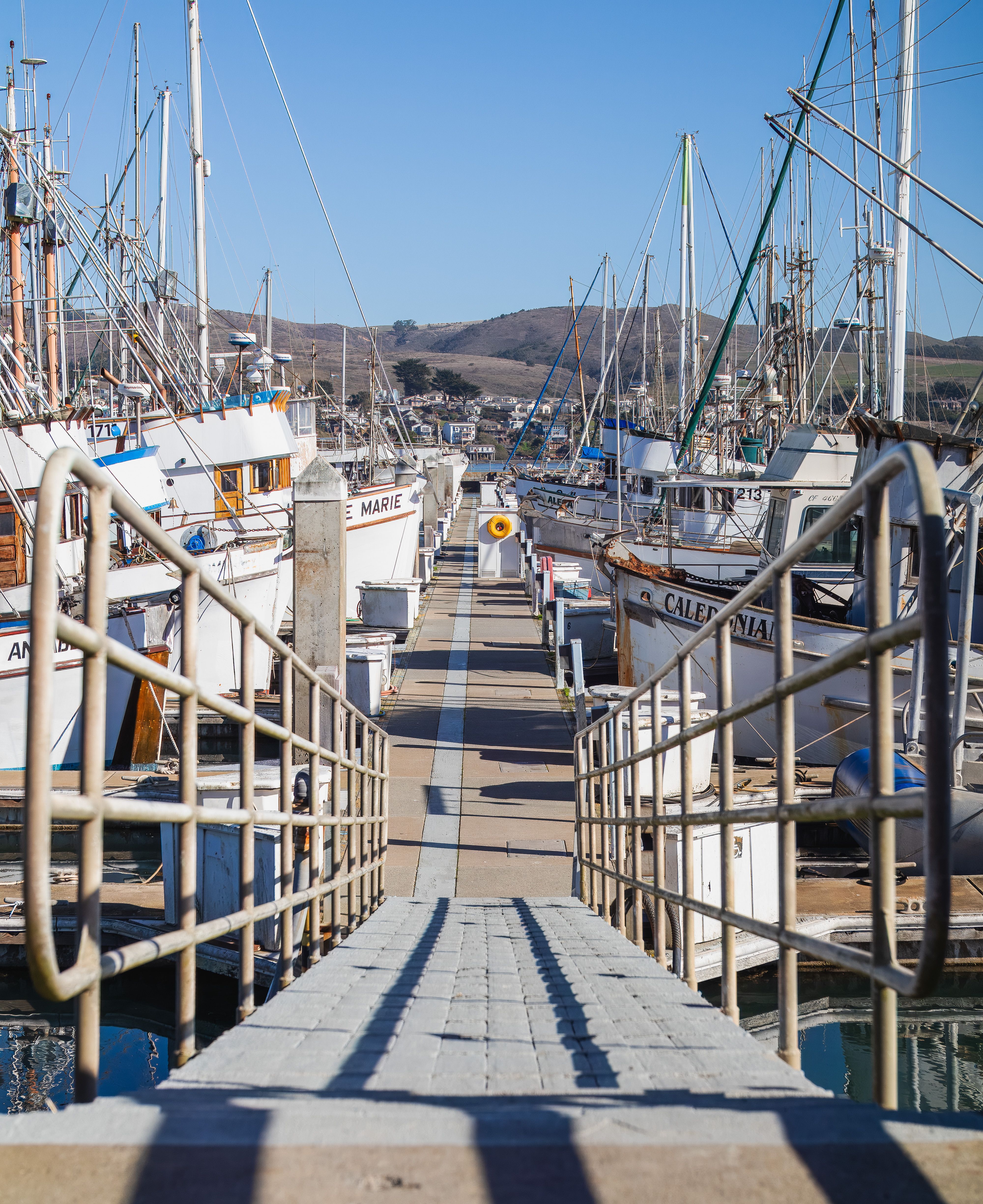 Ships in a Harbor · Free Stock Photo