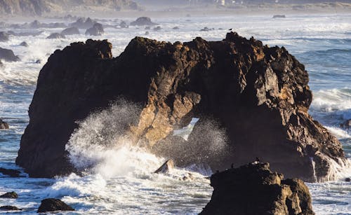 Foto profissional grátis de água, borrifar, mar