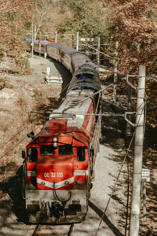 Imagine de stoc gratuită din cădere, călătorie, cale ferată