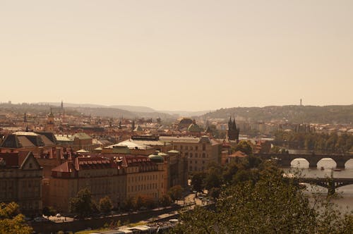 Imagine de stoc gratuită din apă curgătoare, arbore, biserici