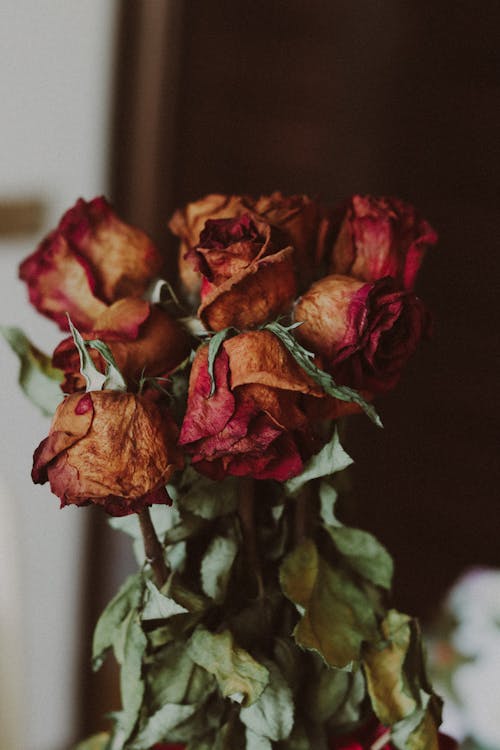 Bouquet of Red Roses 