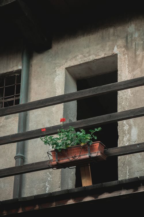 Free Charming rustic balcony in Ghemme, Italy, featuring blooming red geraniums in flower pots against a weathered facade. Stock Photo