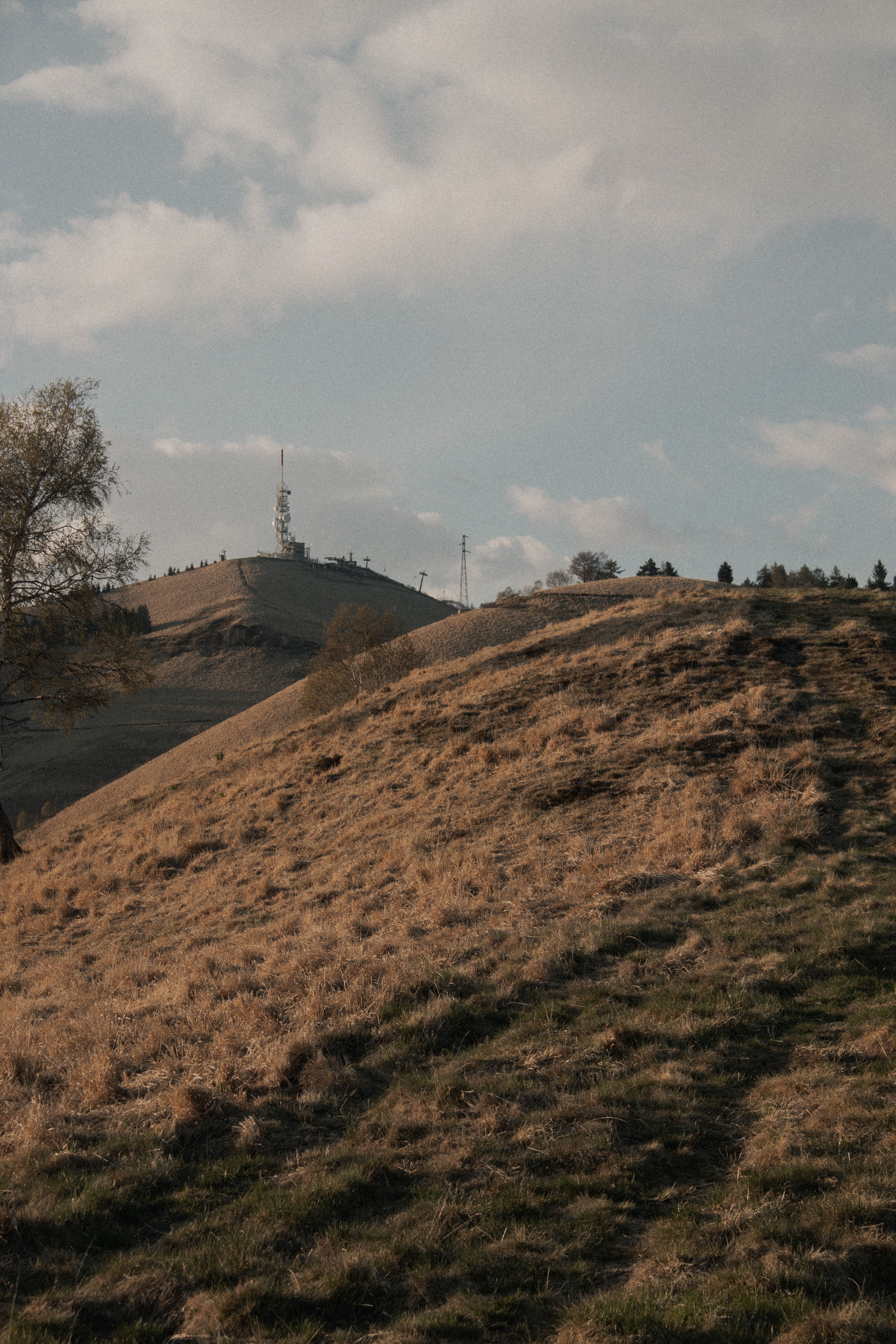 Forged Arch on Hill in Park · Free Stock Photo