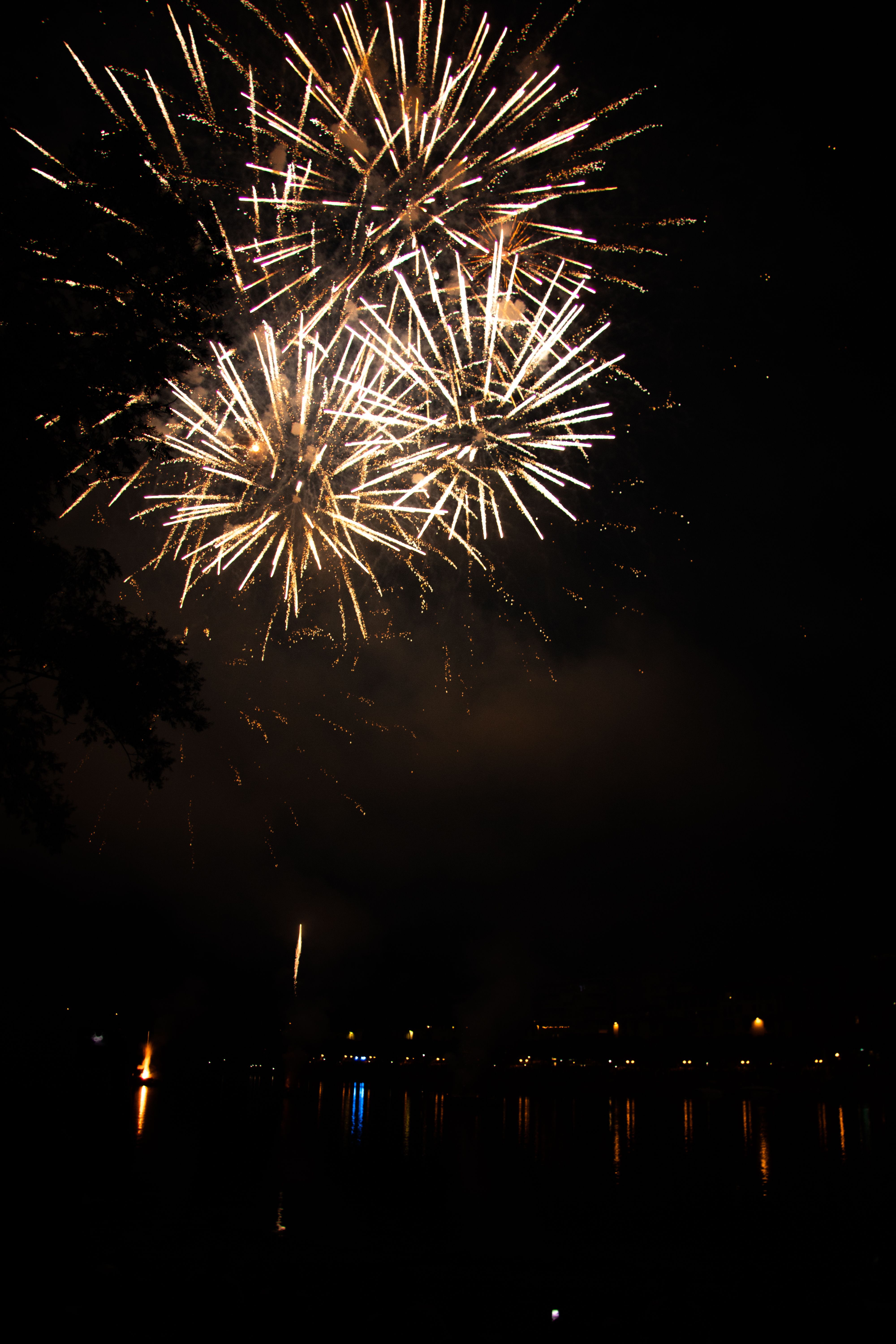 Fotomural Brillantes fuegos artificiales explotando sobre un lago, iluminando el cielo nocturno con reflejos en el agua.