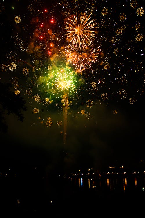 Colorful Fireworks Exploding against a Night Sky