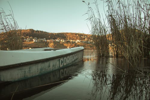 Foto d'estoc gratuïta de aigua, barca, capvespre