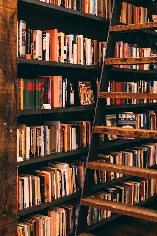 3000 Best Library Photos · 100 Free Download · Pexels Stock Photos