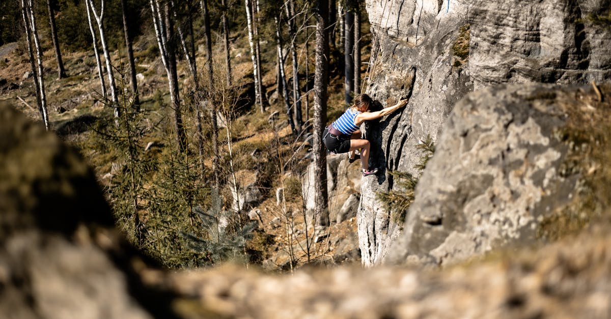 Discover the Beauty of Tree Climbing