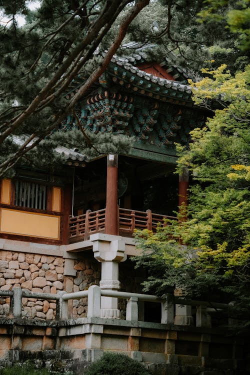 Tree over Wall of Bulguksa Temple in South Korea