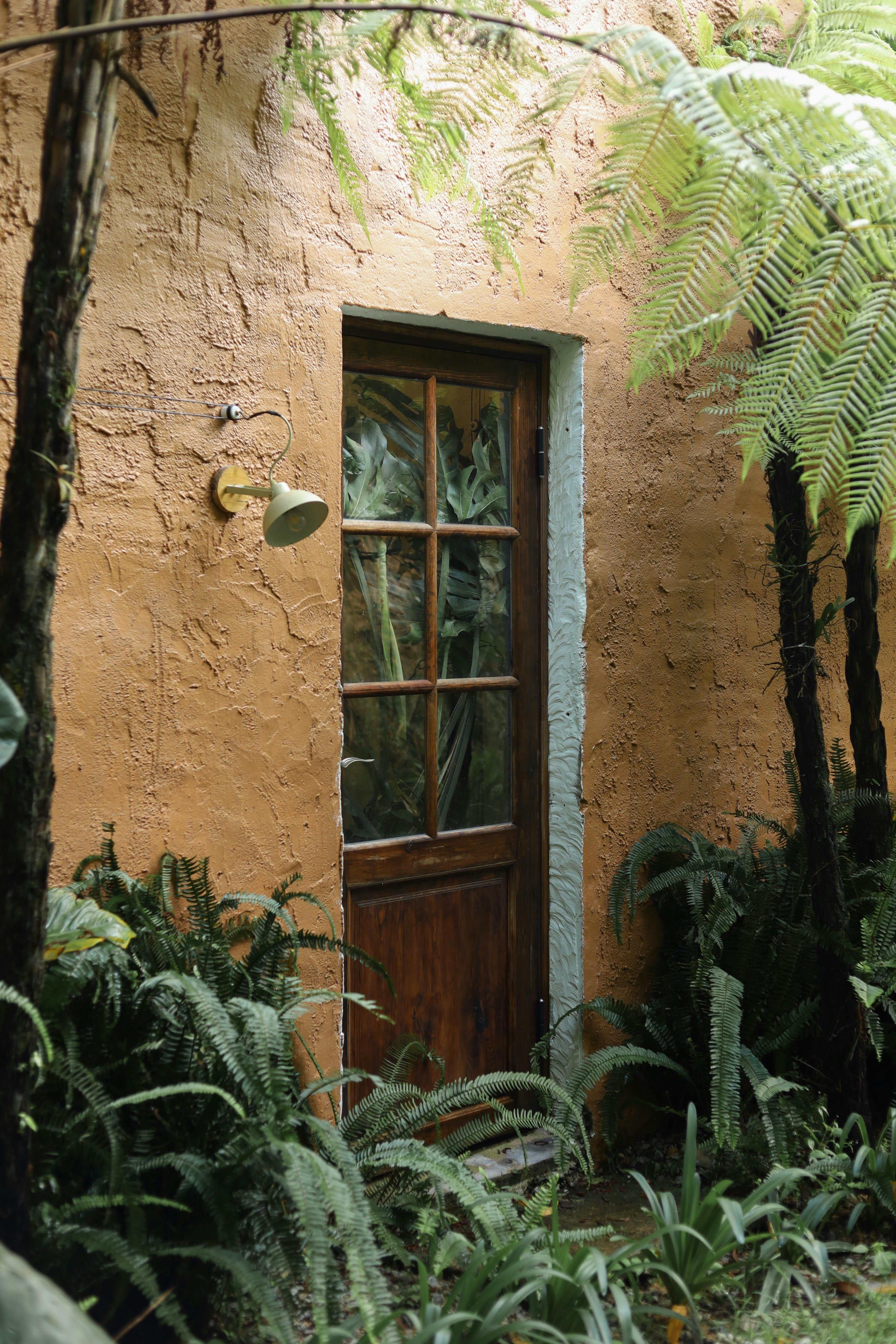 A rustic wooden door framed by vibrant green ferns against a textured wall, creating a serene natural retreat.