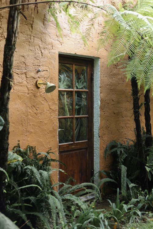 Plants near Closed House Door