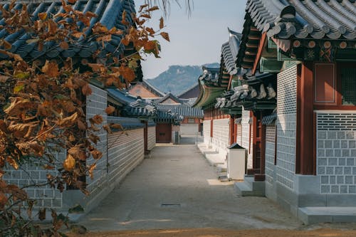 Бесплатное стоковое фото с gyeongbokgung, Аллея, двор