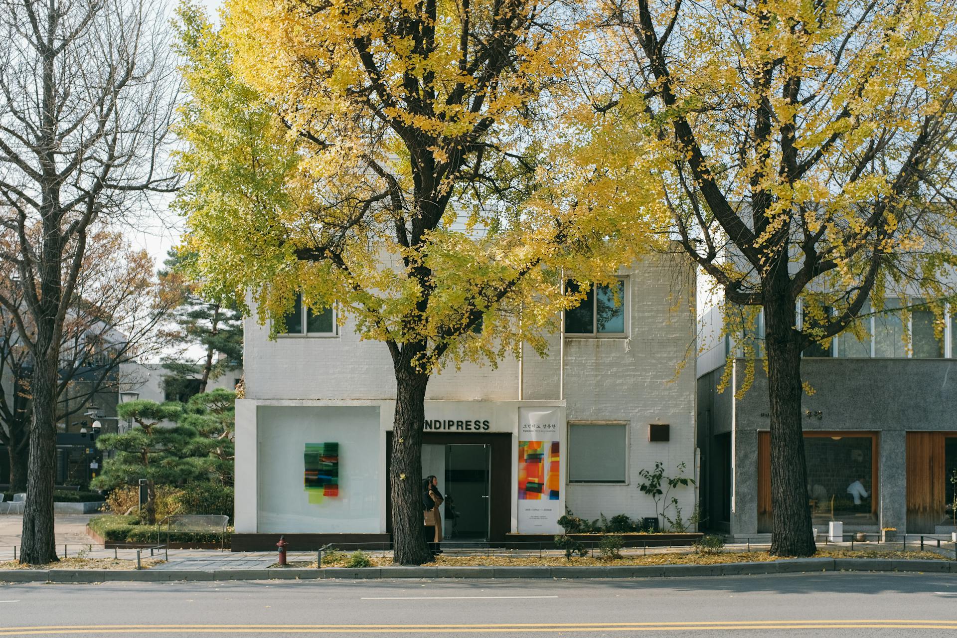 Serene urban scene in Seoul with fall foliage and quaint building exteriors.