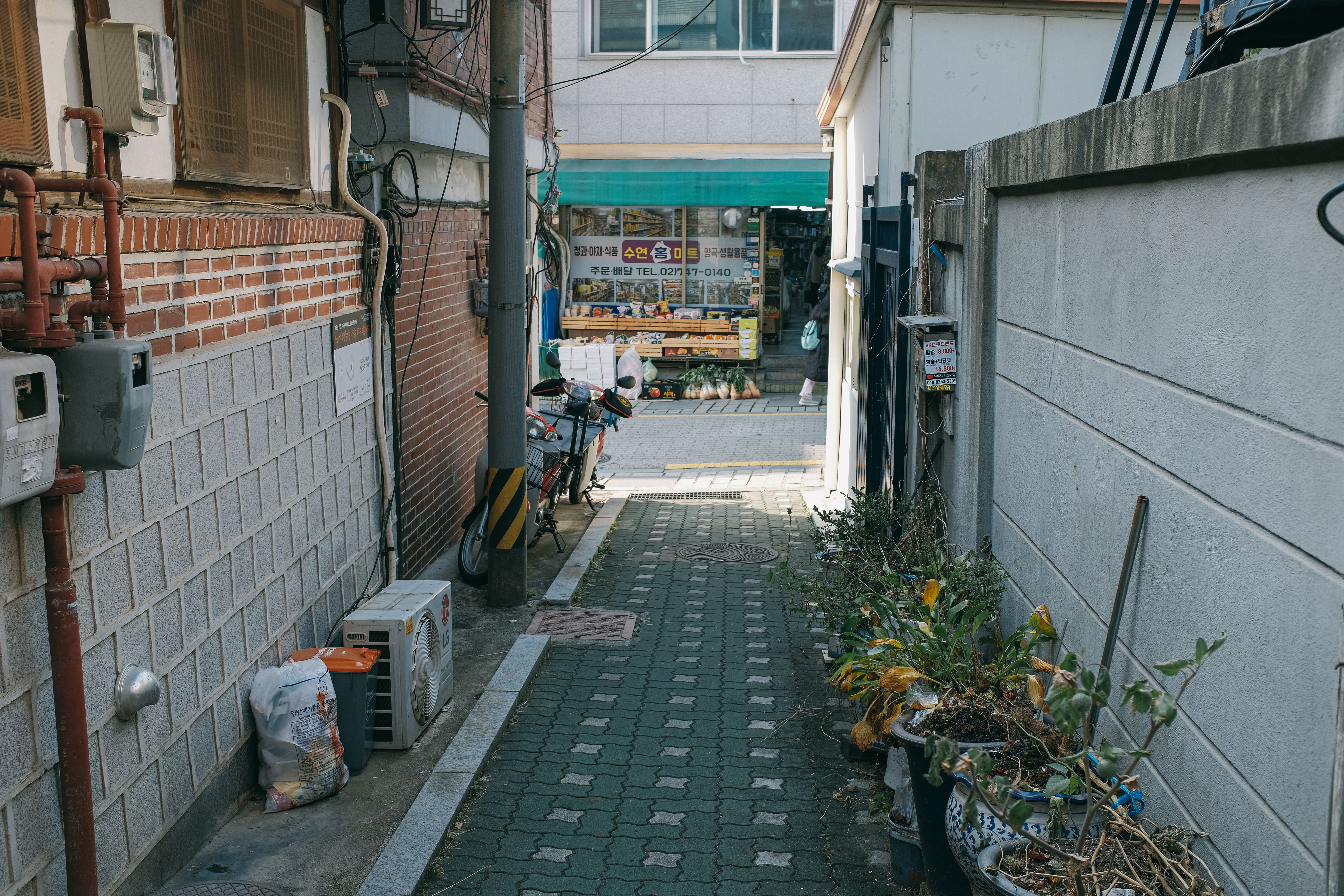 Busan Hidden Gems — 10 Places Most Tourists Miss