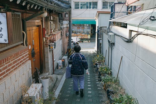 Back View of a Woman Walking in the Alley in Bukchon Hanok Village, Seoul, South Korea 