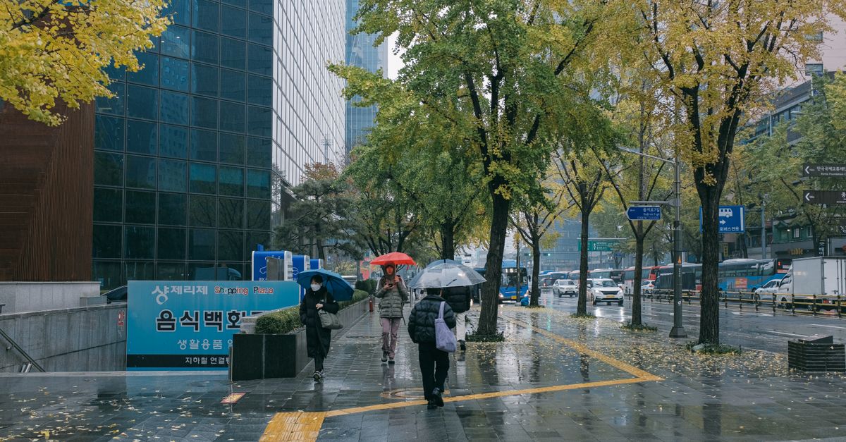 Pedestrians with umbrellas walk on rainy city streets in Seoul, showcasing urban life and modern architecture. visual (Photo: Huy Phan / Pexels)