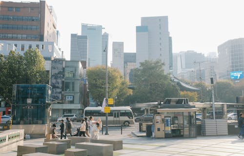 Foto stok gratis alun-alun kota, bis-bis, cityscape