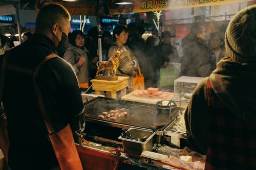 Gratis stockfoto met avond, braden, eten