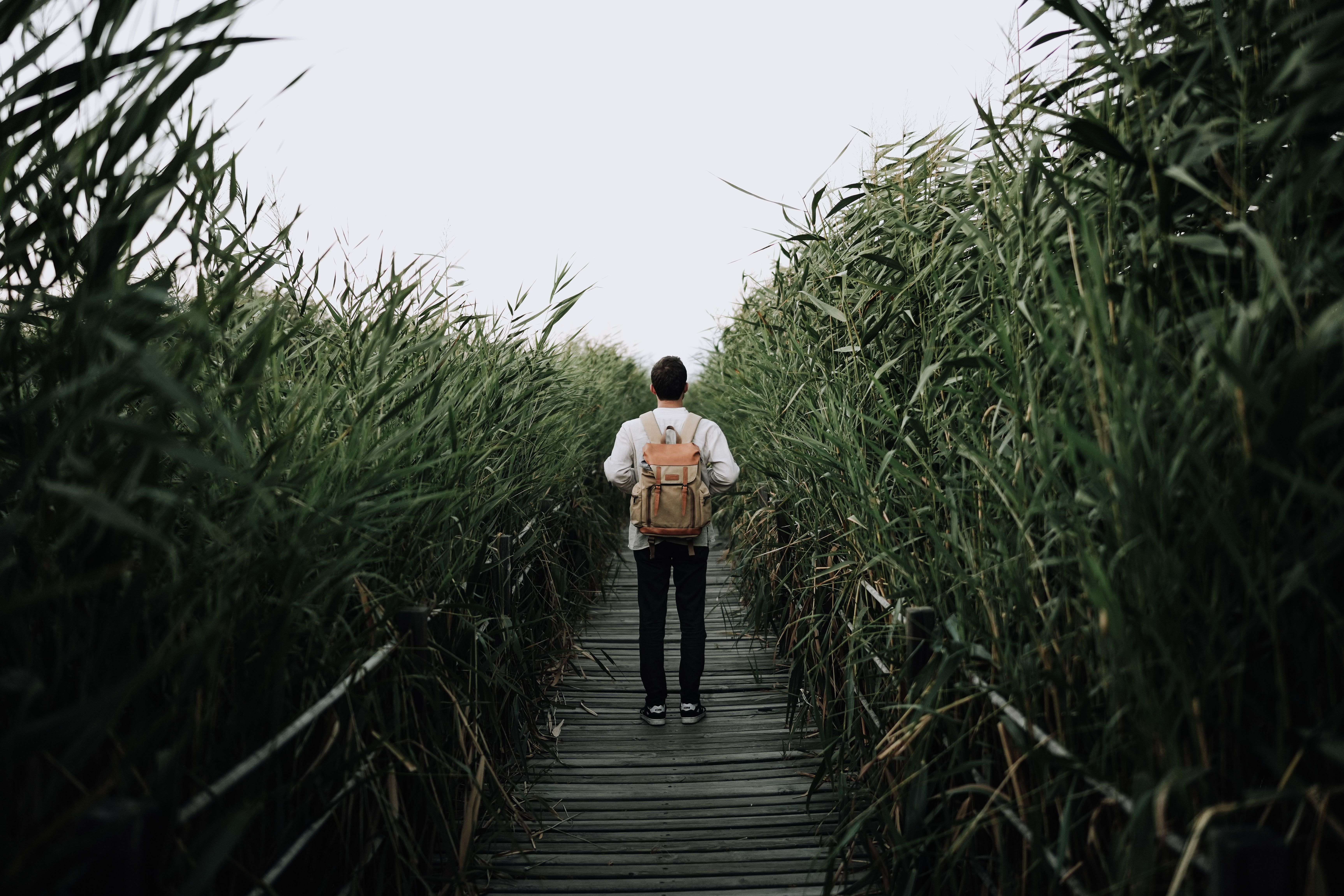 The Job Skills Employers Actually Screen For (and How to Build Them)