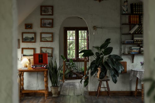 Interior with a Vintage Design and Houseplants 