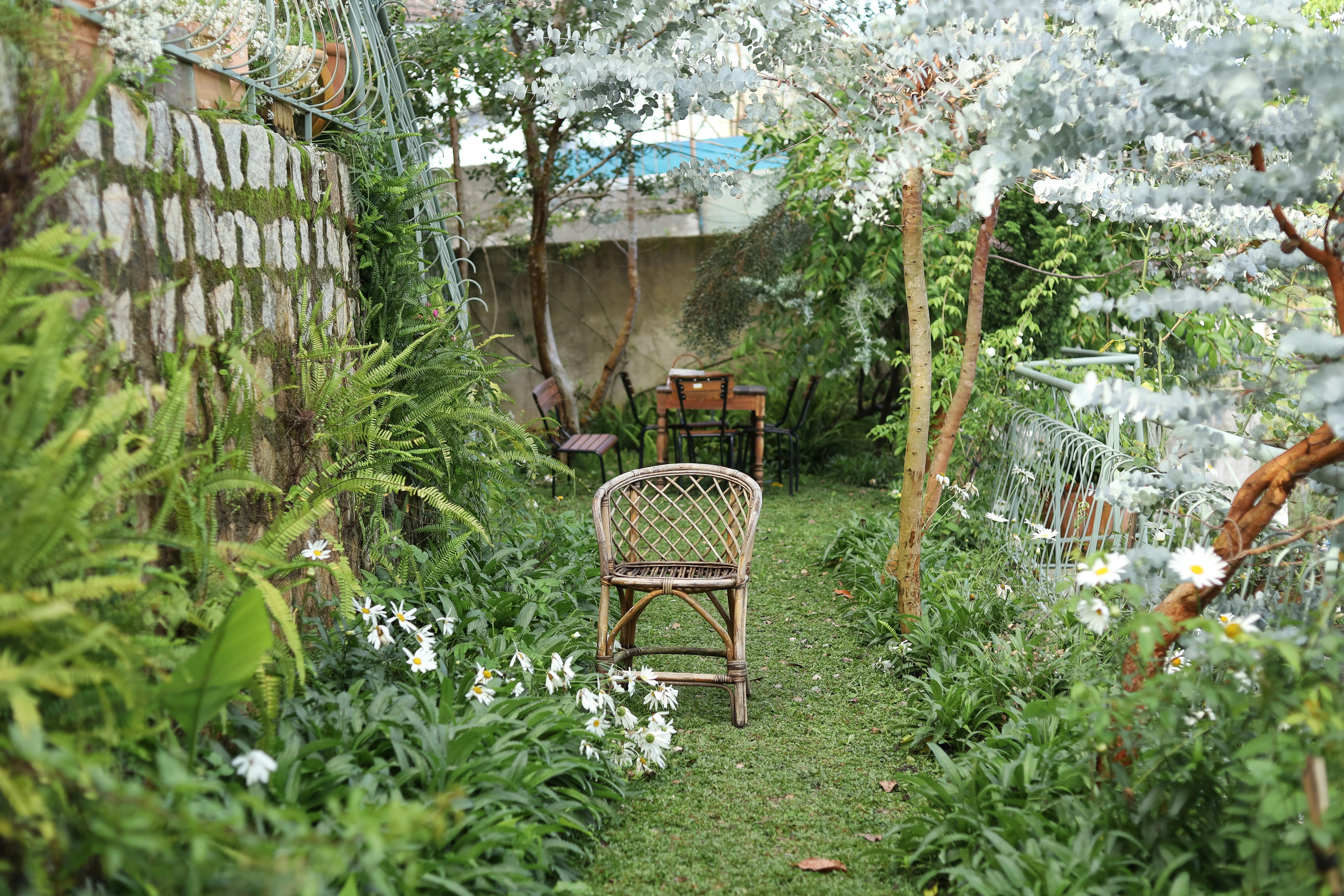 A Landscape Designer’s Favorite Gardening Tools — Photo by Đặng Thanh Tú on Pexels