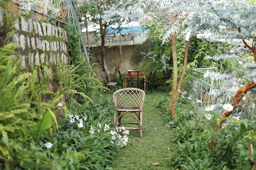 Furniture and Shrubs in a Garden 