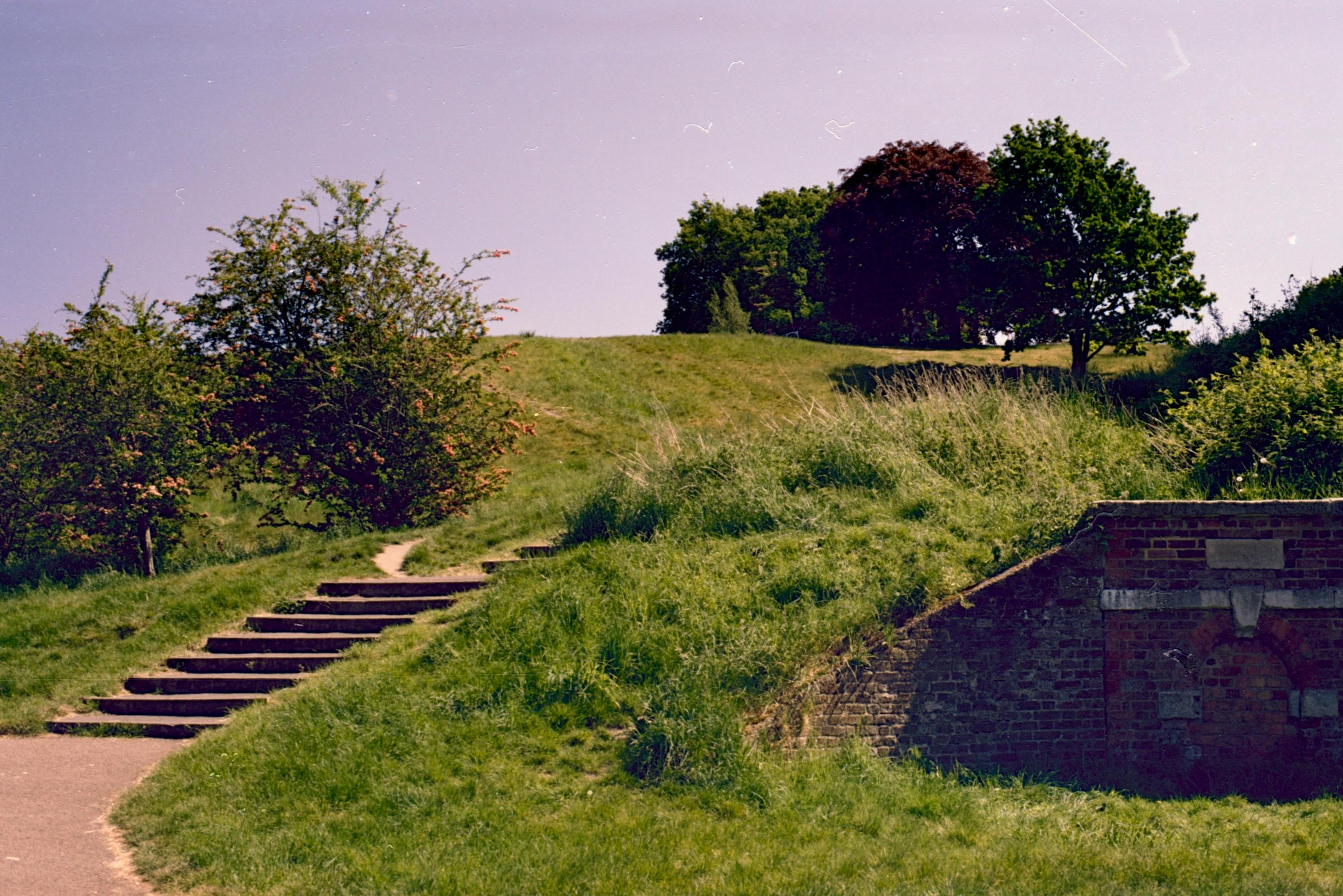 Grassy Hillside On Image & Photo (Free Trial)