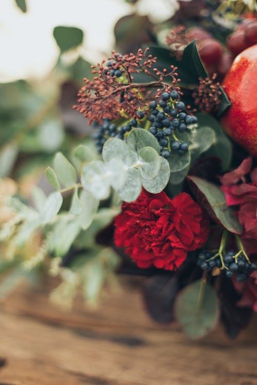 Gratis lagerfoto af bær, blade, blomster