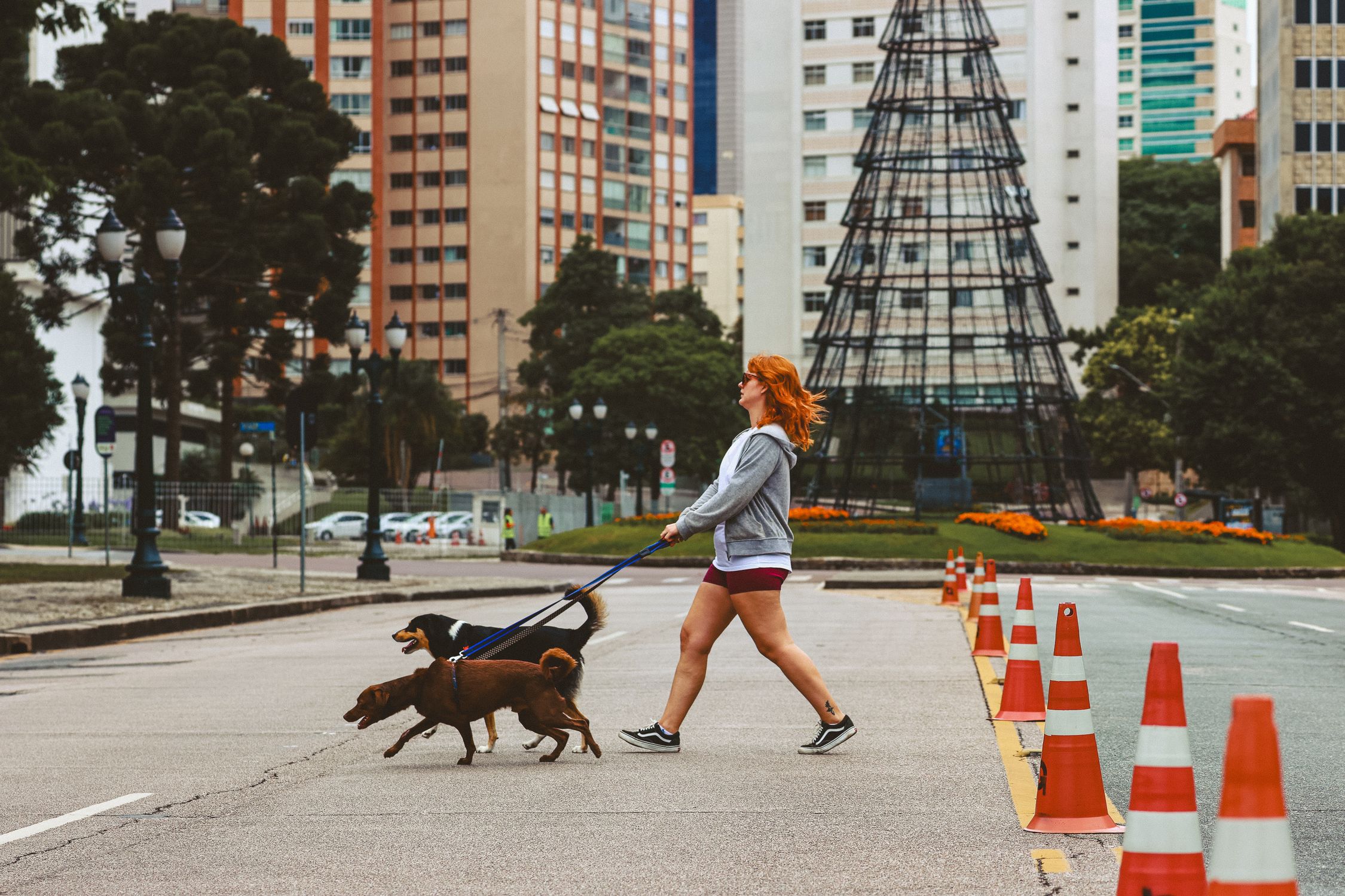 A woman walks two dogs down a city street, showcasing urban life and pet companionship.