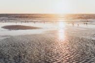 日落时分，海滩宁静，海岸线上有鸟类，水面波光粼粼