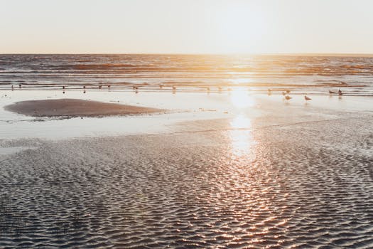 日落时分，海滩宁静，海岸线上有鸟类，水面波光粼粼