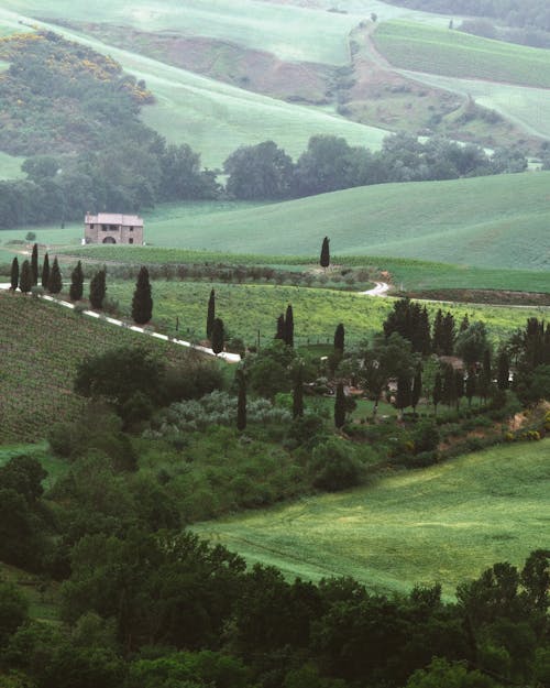Stone Detached House in Tuscany Landscape