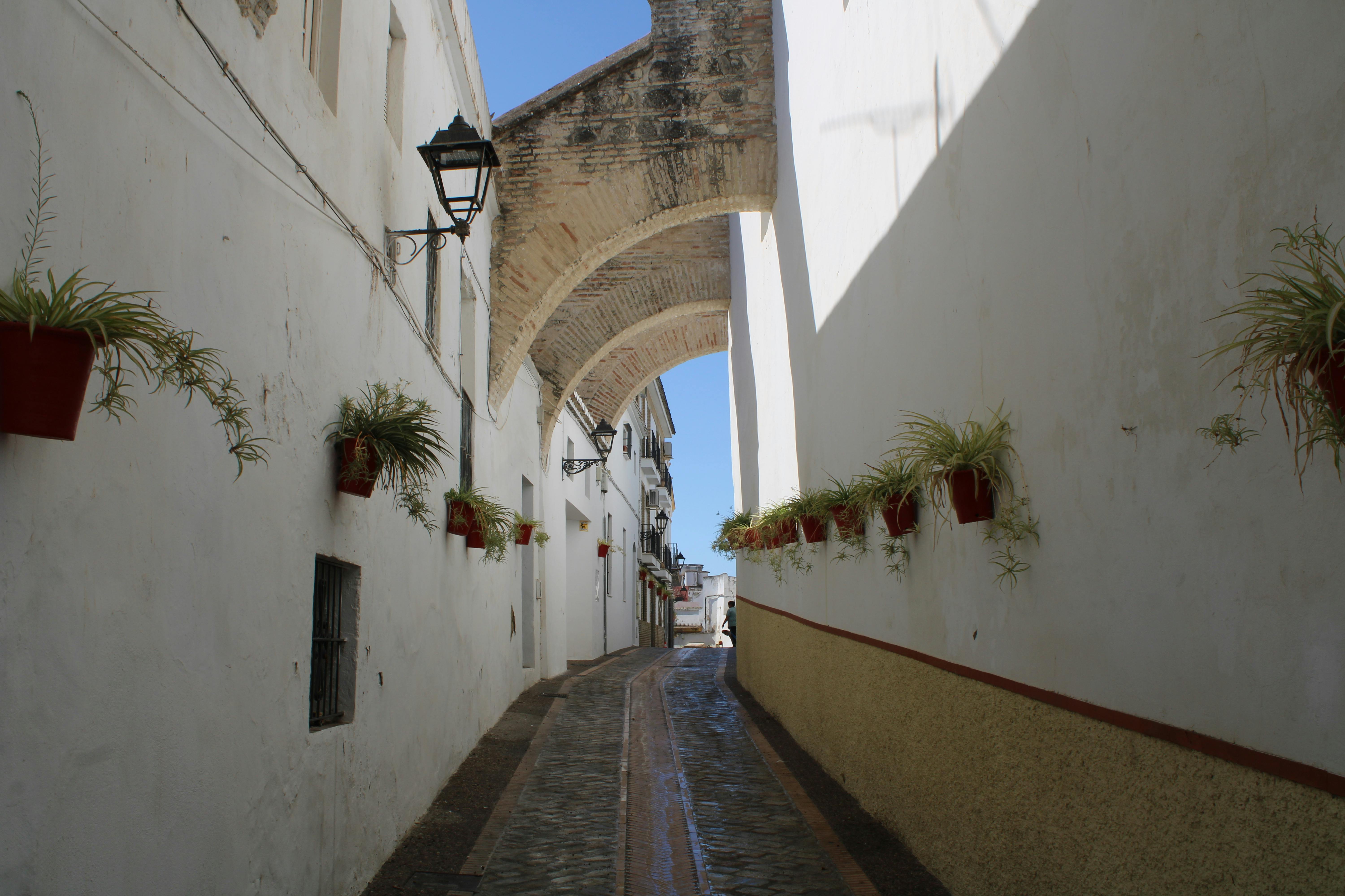 Mezquita de Cordoue