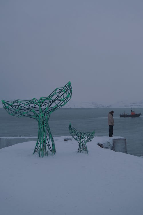 Whale Tail Sculptures in Snow in Teriberka