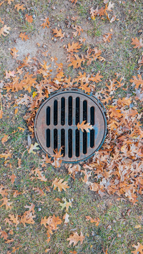Drainage in the Ground Covered with Autumnal Leaves 