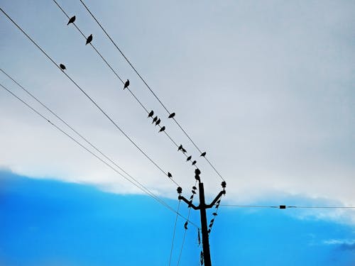 Kostenloses Stock Foto zu bewölkten himmel, blauen himmel, blauer himmel