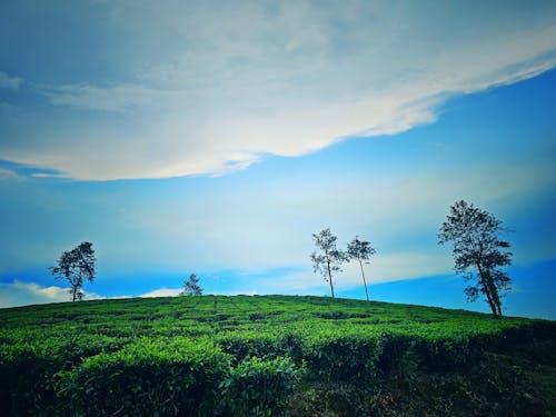 Kostenloses Stock Foto zu blauer himmel, filmischer himmel, grüne und blaue natur