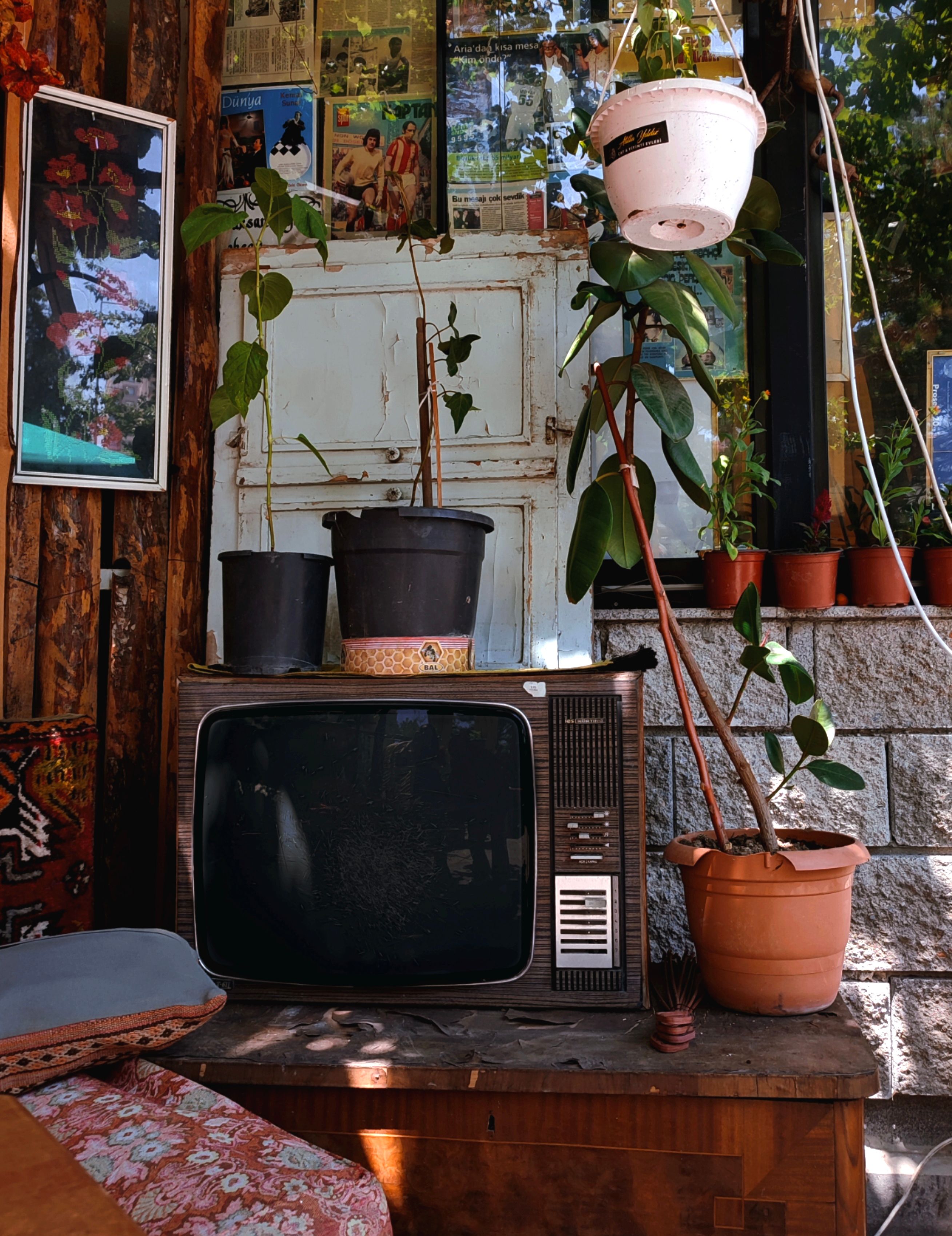 A retro living room featuring a vintage TV with plants and rustic decor.