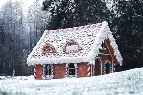 Christmas Gingerbread House in Forest
