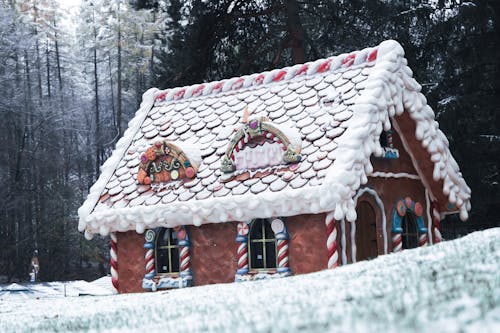 Decorated House for Christmas in Winter