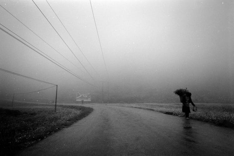 Fog In Countryside