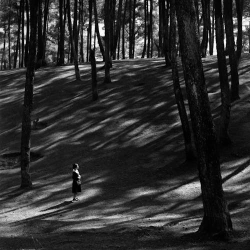 Black and White Photo of a Woman Standing in the Forest