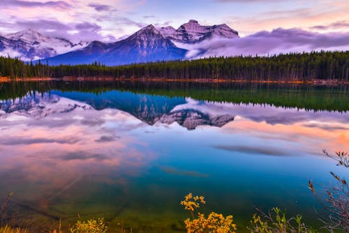 Základová fotografie zdarma na téma Alberta, b anff národní park, banff