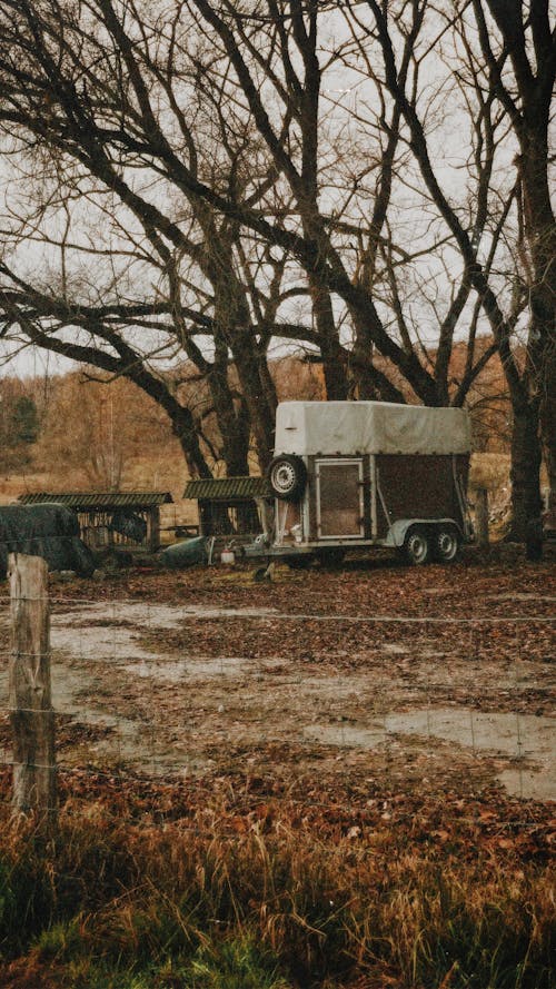 Gratis lagerfoto af bagvogn, Camping, efterår