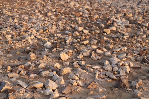 Close-up of Rocks on the Ground 