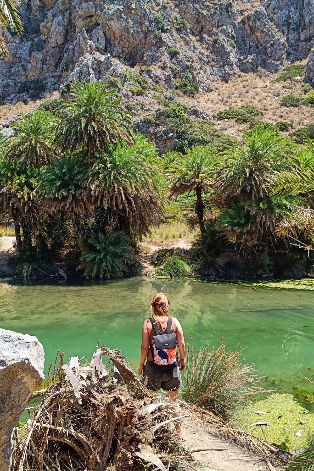 Chrissi Island (Gaidouronisi) beach 3